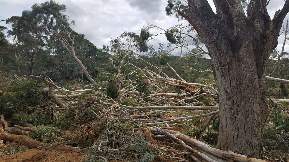 Yass SES has been busy cleaning up fallen trees on power lines and roads. PHOTO: Yass SES